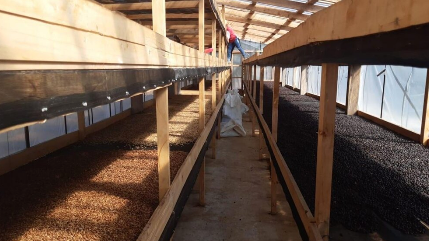 Colombia Finca El Diviso