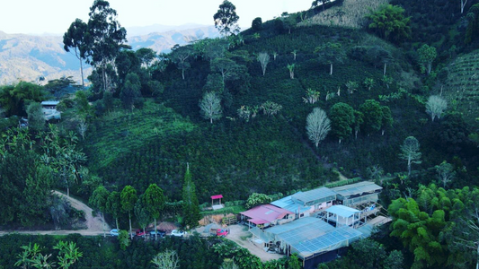 Colombia Finca El Diviso
