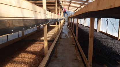 Colombia Finca El Diviso